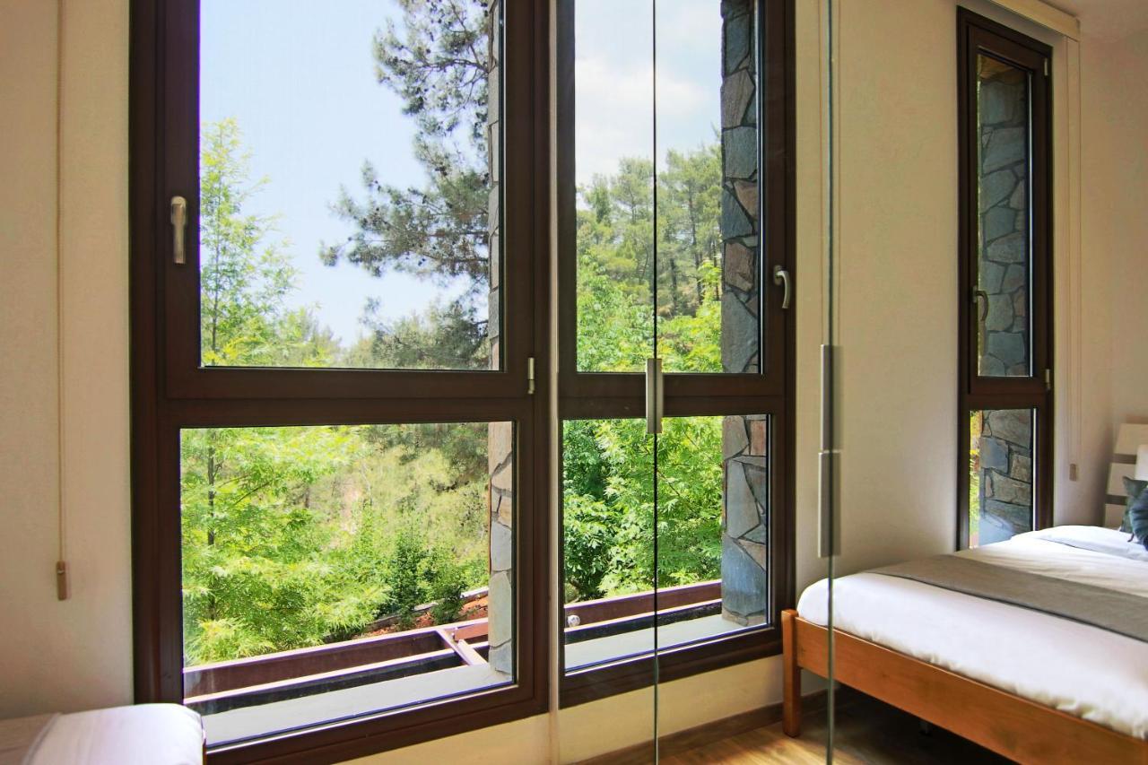 Phaedrus Living: Forest View Luxury Villa Chantara Foini Exterior foto